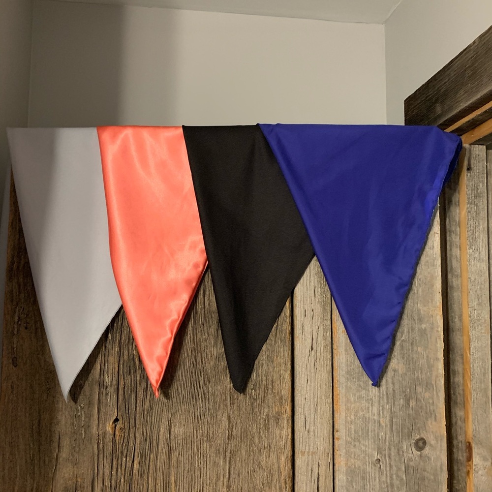 Wild Rags
